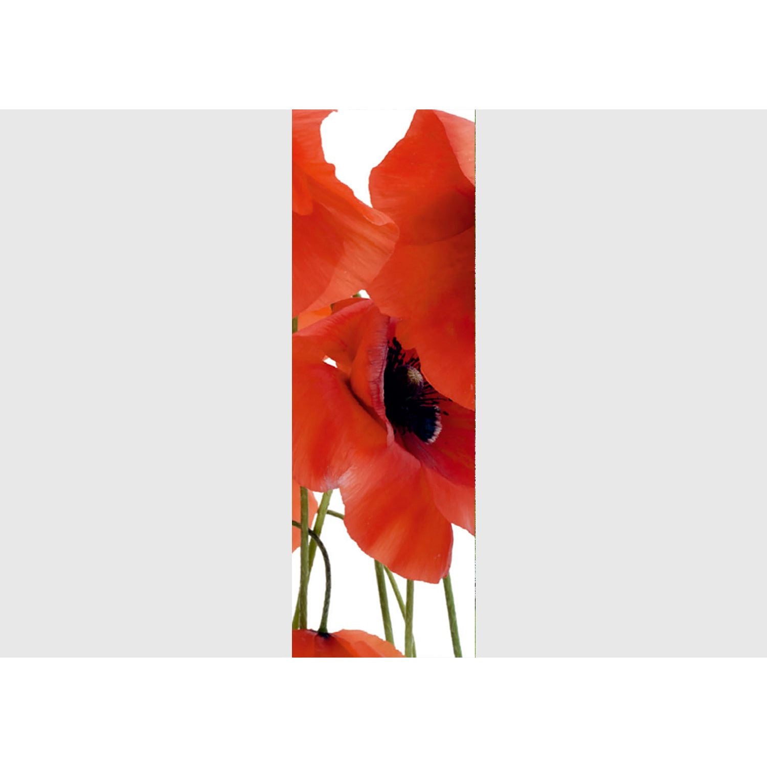 Crimson Bloom: Red Flowers on White Wall Mural