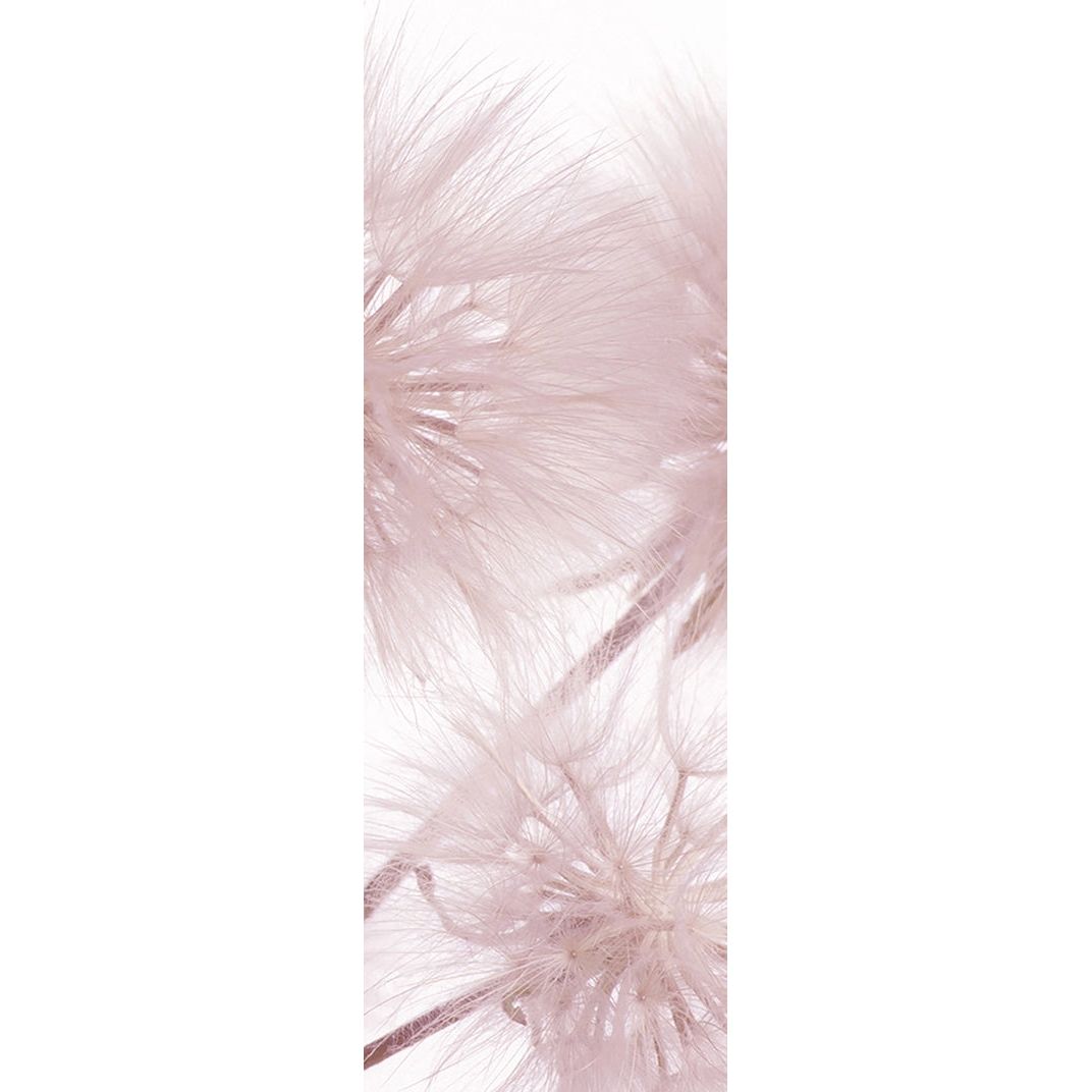 Pink Dandelion Serenity: Floral Wall Mural