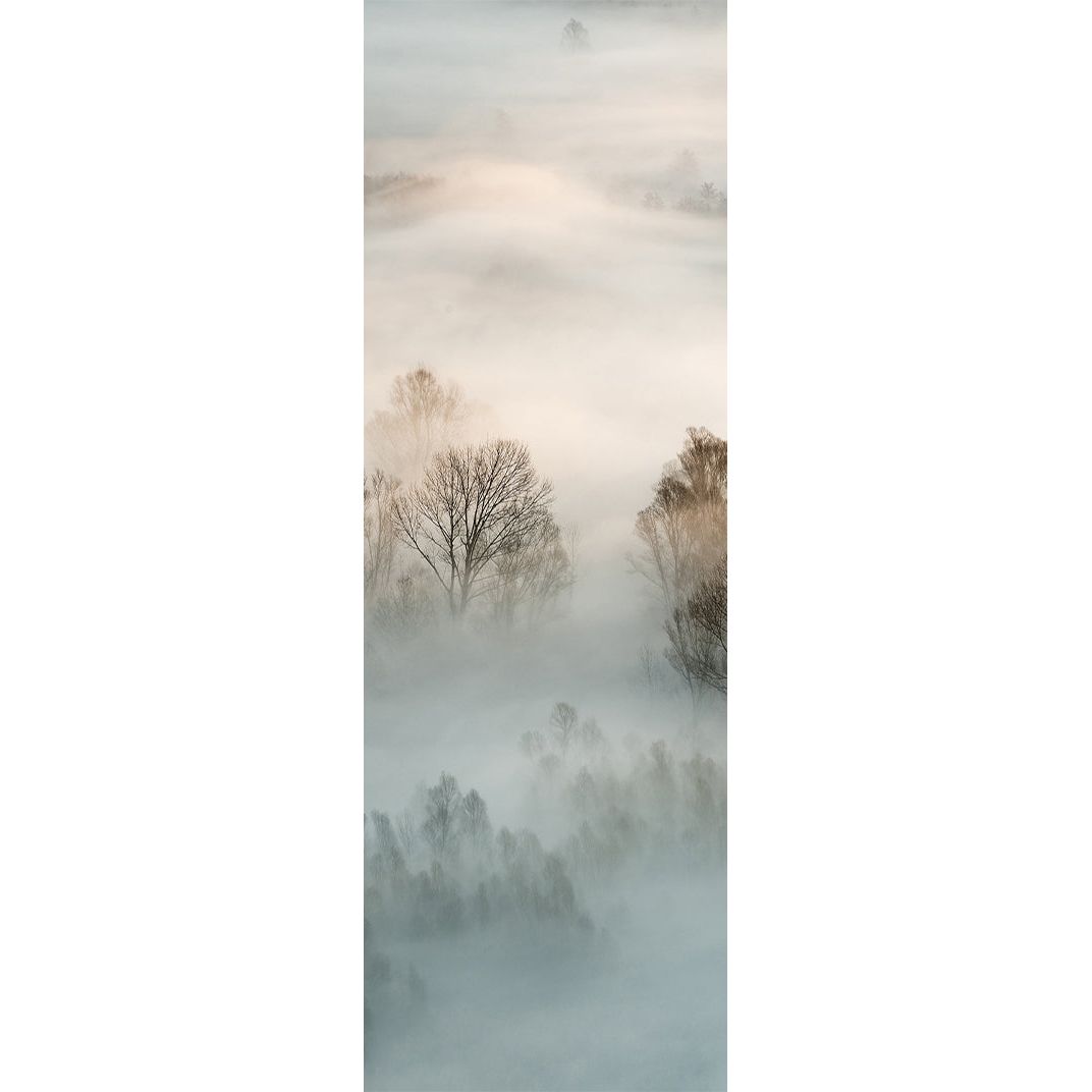 Mystical Mist Wall Mural: Fog Over Mountains and Forest